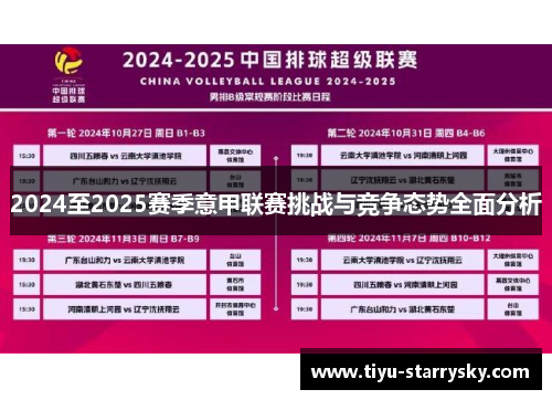 2024至2025赛季意甲联赛挑战与竞争态势全面分析