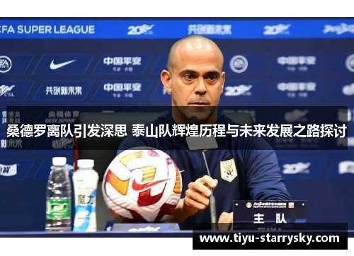桑德罗离队引发深思 泰山队辉煌历程与未来发展之路探讨