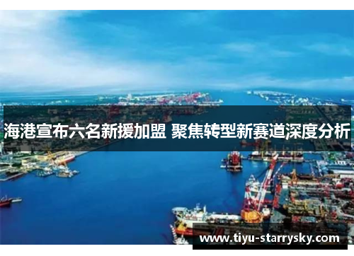 海港宣布六名新援加盟 聚焦转型新赛道深度分析