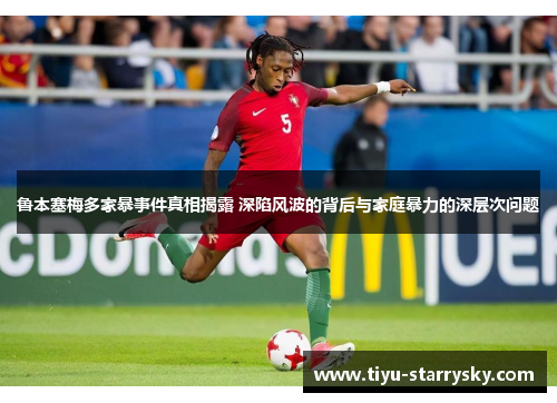 鲁本塞梅多家暴事件真相揭露 深陷风波的背后与家庭暴力的深层次问题