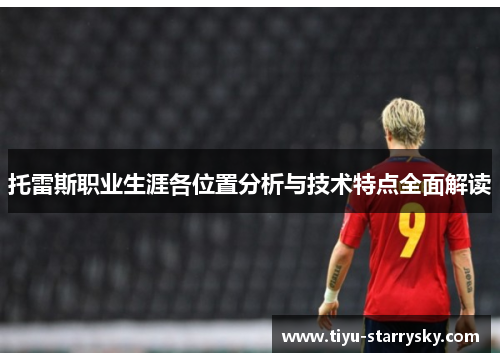 托雷斯职业生涯各位置分析与技术特点全面解读