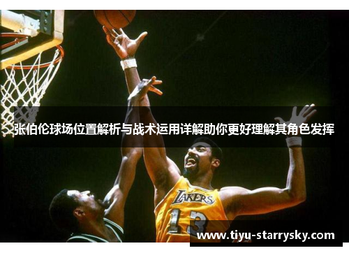 张伯伦球场位置解析与战术运用详解助你更好理解其角色发挥
